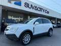 Opel Antara Antara 2.4 16v  2rm Bianco - thumbnail 1