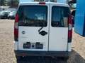 Fiat Doblo 1.9 JTD SX **Maxi**Kasten**AHK**HU 07/27** Weiß - thumbnail 6