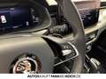 Skoda Kamiq Clever 1,0 TSI DSG KLIMA NAVI KAMERA LED Grau - thumbnail 20