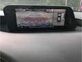 Mazda 3 Selection HUD Navi Bose 360 Kamera LenkradHZG LED Rouge - thumbnail 11