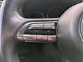 Mazda 3 Selection HUD Navi Bose 360 Kamera LenkradHZG LED Rouge - thumbnail 9