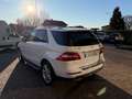 Mercedes-Benz ML 250 Classe M - W166 Premium AMG 4matic auto Bianco - thumbnail 3