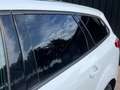 Ford Focus 1.0 EcoBoost 125PK | Navi | Cruise | Camera | Wit - thumbnail 6