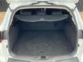 Ford Focus 1.0 EcoBoost 125PK | Navi | Cruise | Camera | Wit - thumbnail 27