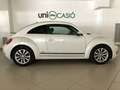 Volkswagen Beetle 1.6TDI Connection 105 Blanco - thumbnail 4