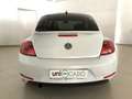 Volkswagen Beetle 1.6TDI Connection 105 Blanco - thumbnail 15
