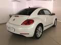 Volkswagen Beetle 1.6TDI Connection 105 Blanco - thumbnail 16