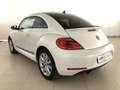 Volkswagen Beetle 1.6TDI Connection 105 Blanco - thumbnail 17
