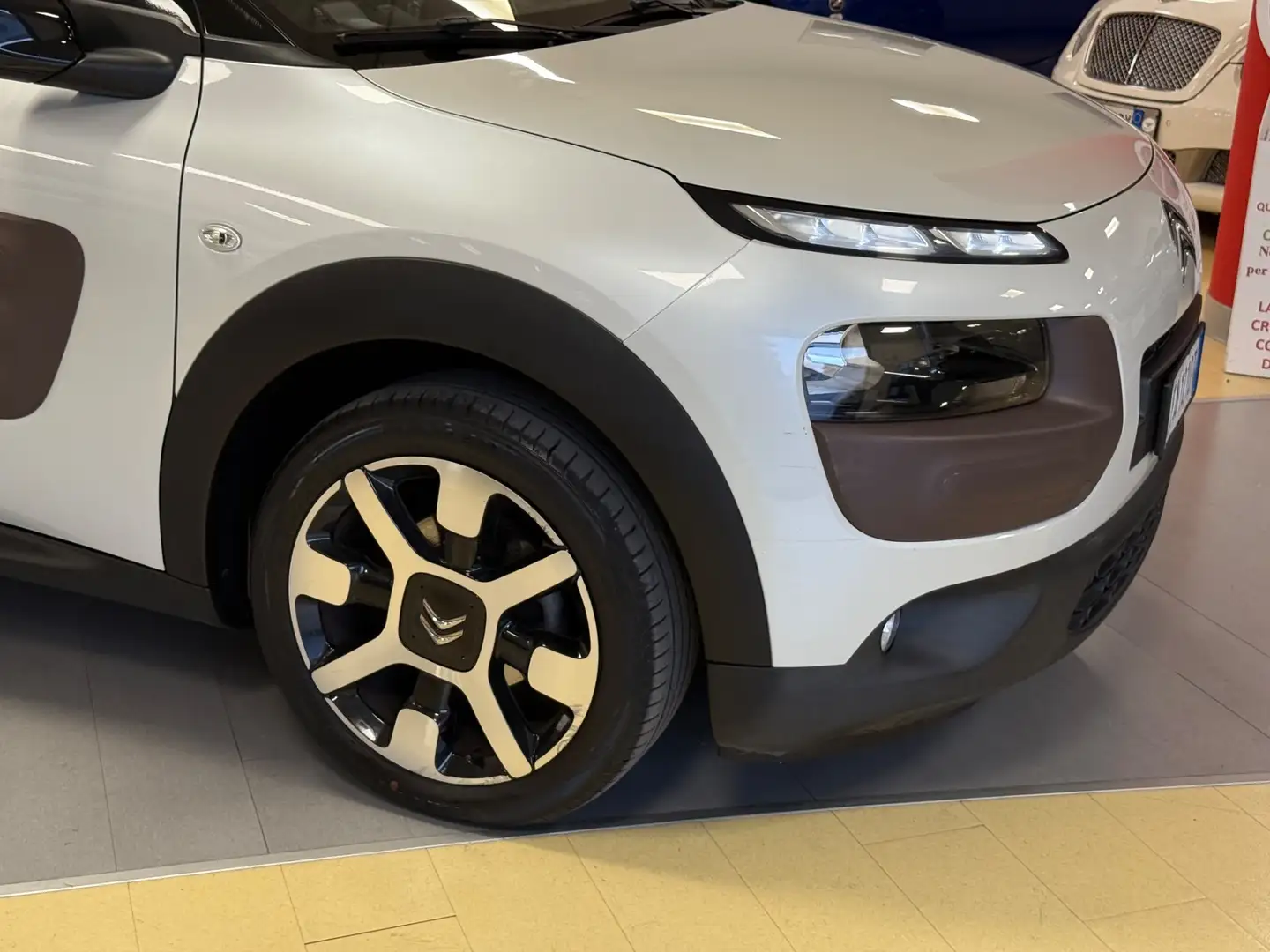 Citroen C4 Cactus BlueHDi 100 S&S Shine Bianco - 2