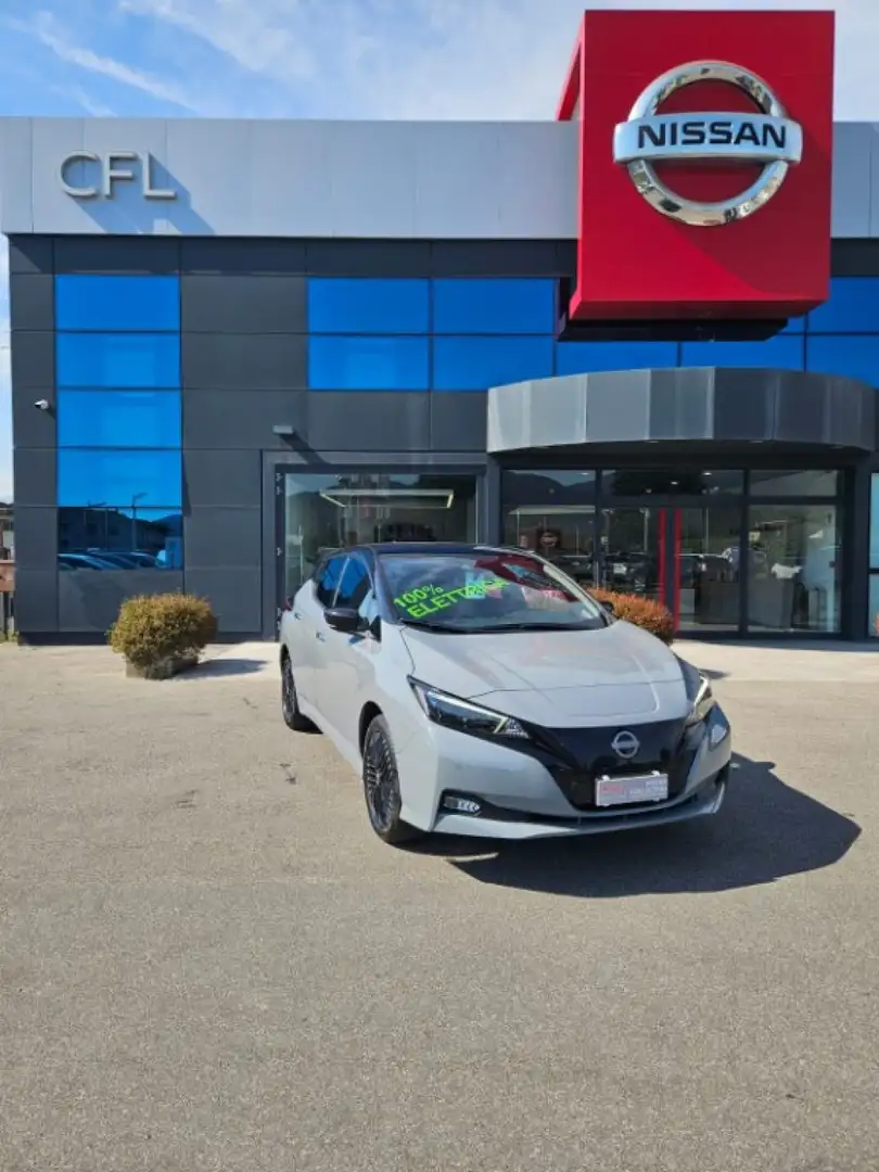 Nissan Leaf e+ N-Style Сірий - 1