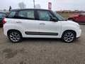 Fiat 500L 1.3 Multijet 95 CV Trekking Bianco - thumbnail 5