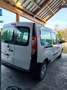 Renault Kangoo A REPARER 63540KM!!2020  1.5dci 95cv 4650€ TVAC Wit - thumbnail 3