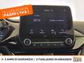 Ford Fiesta 5p 1.0 ecoboost hybrid titanium s&s 125cv my20.75 Rosso - thumbnail 23