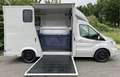 Ford Transit Paardenwagen / Horsetruck / Veewagen - thumbnail 4