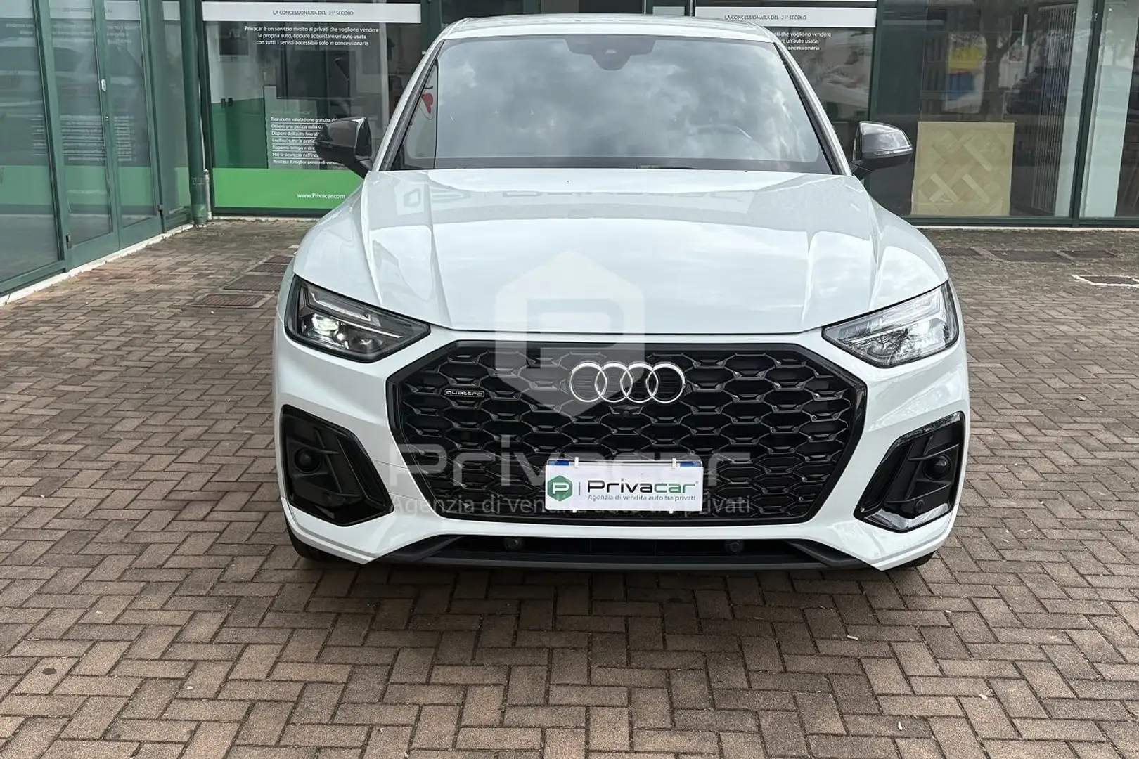 Audi Q5 Q5 SPB 40 TDI quattro S tronic S line plus Bianco - 2