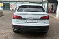 Audi Q5 Q5 SPB 40 TDI quattro S tronic S line plus Bianco - thumbnail 6
