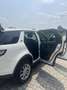 Land Rover Discovery Sport 2.0 td4 Pure awd 150cv 7p.ti my18 - thumbnail 3