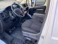 Opel Movano Cargo L4H2 3,5t Edition*Kamera*AHK*DAB Weiß - thumbnail 5