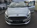 Ford S-Max S-MAX 2.0 TDI Titanium Navi+Camera/Panoram/AHK Argintiu - thumbnail 7