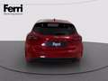 Ford Focus 1.0t ecoboost h ST-Line X 155cv powershift Červená - thumbnail 5