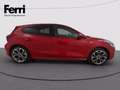 Ford Focus 1.0t ecoboost h ST-Line X 155cv powershift Červená - thumbnail 11