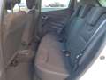 Renault Clio TCe GPF Energy Limited 66kW Blanco - thumbnail 19