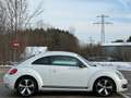 Volkswagen Beetle Sport*LED*Xenon*Öamtc*Temp-Kredit*R-Line*Design Weiß - thumbnail 6