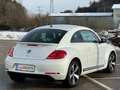 Volkswagen Beetle Sport*LED*Xenon*Öamtc*Temp-Kredit*R-Line*Design Weiß - thumbnail 4
