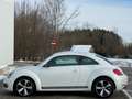 Volkswagen Beetle Sport*LED*Xenon*Öamtc*Temp-Kredit*R-Line*Design Weiß - thumbnail 5