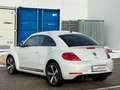 Volkswagen Beetle Sport*LED*Xenon*Öamtc*Temp-Kredit*R-Line*Design Weiß - thumbnail 2