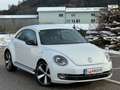 Volkswagen Beetle Sport*LED*Xenon*Öamtc*Temp-Kredit*R-Line*Design Weiß - thumbnail 3