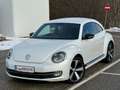 Volkswagen Beetle Sport*LED*Xenon*Öamtc*Temp-Kredit*R-Line*Design Weiß - thumbnail 1