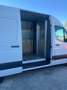 Mercedes-Benz Sprinter SPRINTER 311 Bianco - thumbnail 6