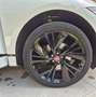 Jaguar I-Pace I-Pace 90 kWh EV400 SE Wit - thumbnail 19