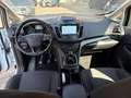 Ford C-Max 1.0 EcoBoost 100CV Start&Stop Plus OK NEOPATENTATO Bianco - thumbnail 7