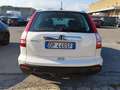 Honda CR-V CR-V III 2007 2.2 ctdi Executive Bianco - thumbnail 5