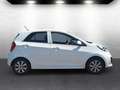 Kia Picanto Spirit **AU/HU bis 06/2027** 1-Hand Weiß - thumbnail 8