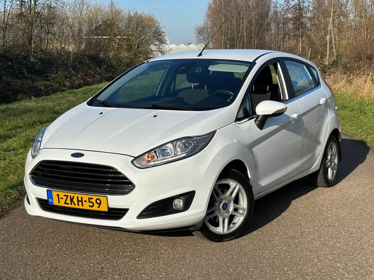 Ford Fiesta 1.0 EcoBoost Titanium/Navi/Pdc/Acc/Cruise Weiß - 1
