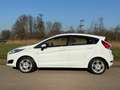 Ford Fiesta 1.0 EcoBoost Titanium/Navi/Pdc/Acc/Cruise Weiß - thumbnail 3