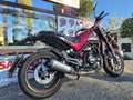 Benelli Leoncino 500 Rosso - thumbnail 5