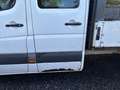 Mercedes-Benz Sprinter Double cabine Weiß - thumbnail 9