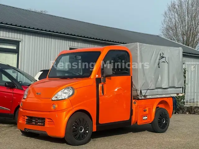 Ligier PROFESSIONAL Microcar Flex Mopedauto Truck 45 KM