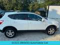 Nissan Qashqai I-Way+Navi+Panorama+Klimaautomatik+Euro5 Blanc - thumbnail 16