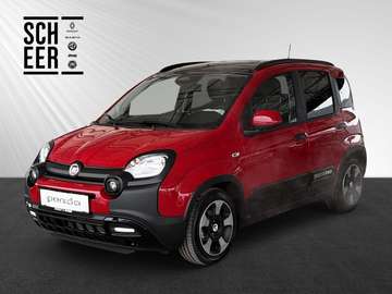 Pandina Cross MY25 70PS