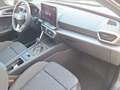 SEAT Leon FR Edition 1.5 TSI 115 PS Schwarz - thumbnail 19