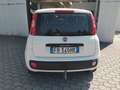 Fiat Panda 3ª serie 1.2 Easy Bianco - thumbnail 3