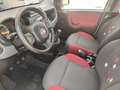 Fiat Panda 3ª serie 1.2 Easy Bianco - thumbnail 4