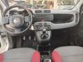 Fiat Panda 3ª serie 1.2 Easy Bianco - thumbnail 5
