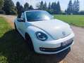 Volkswagen Beetle Cabriolet"iBeetle Design"Bi-Xenon*el.DACH Blanc - thumbnail 15