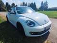 Volkswagen Beetle Cabriolet"iBeetle Design"Bi-Xenon*el.DACH Blanc - thumbnail 4